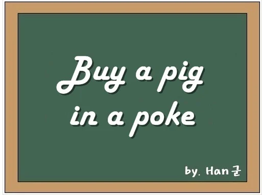 Buy a pig in a poke 