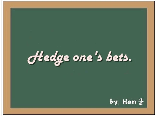 Hedge one's bets