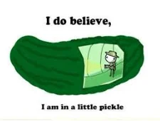 In a pickle 3 1