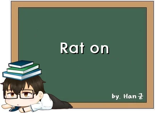 Rat on