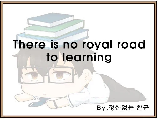 There is no royal road to learning
