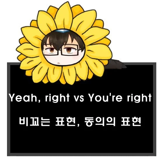 네 말이 맞아 영어로? Yeah, right. vs You're right.