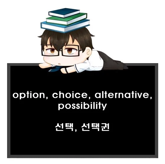 option choice alternative possibility 차이