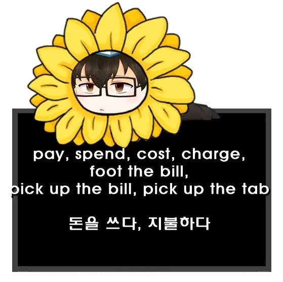 pay spend cost charge foot the bill pick up the bill pick up the tab 차이