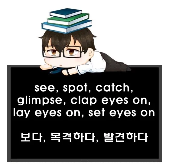 see spot catch glimpse clap eyes on lay eyes on set eyes on 영어로