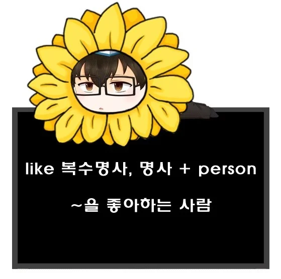 을 좋아하는 사람 영어로. like 복수명사 명사 person