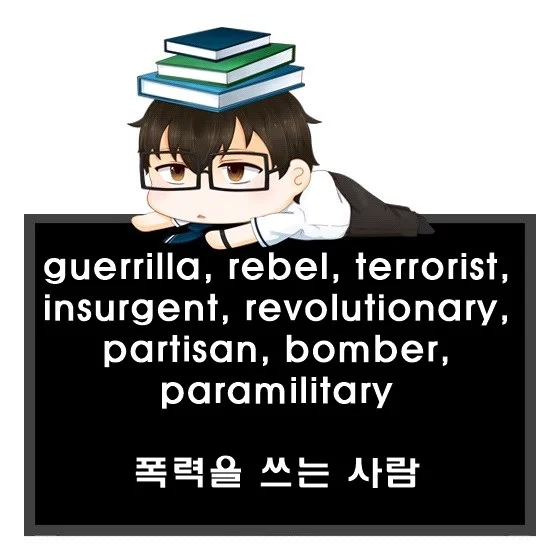 guerrilla rebel terrorist insurgent revolutionary partisan bomber paramilitary 차이